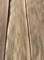 ضخامت 0.50 میلی متر روکش چوب نارون تاج برش درب درجه یک به ایران